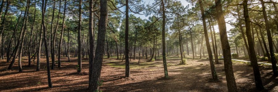 Expert bâtiment sur toute la Gironde